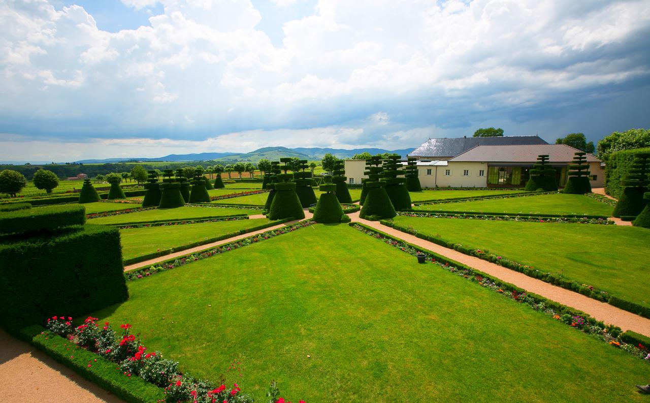 Chateau De Pizay Belleville-sur-Saone Exterior photo